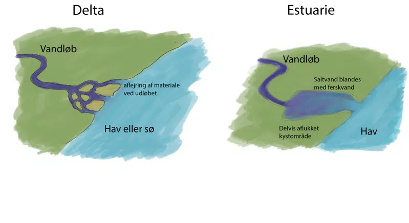 Tegning, der viser hvor grænsen cirka går mellem deltaet og esturariet ved Randers Fjord